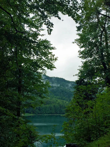 Озеро Гори Похмурий День Мюнхені Німеччина — стокове фото