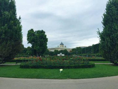 Viyana 'daki Hofburg Sarayı yakınlarındaki Volksgarten bahçesi.
