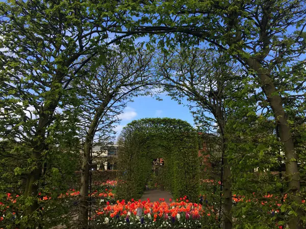 Paesaggio Primavera Nel Giardino Olanda Settentrionale Paesi Bassi — Foto Stock