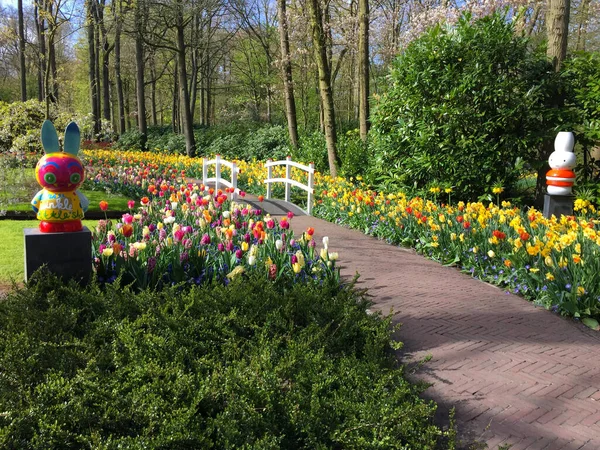 Paesaggio Primavera Nel Giardino Olanda Settentrionale Paesi Bassi — Foto Stock