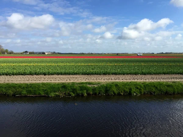 Paisaje Con Lago Flores Contra Cielo Azul Día Soleado Holanda — Foto de Stock