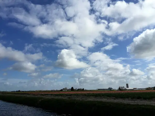 Paisaje Con Lago Flores Contra Cielo Azul Día Soleado Holanda — Foto de Stock