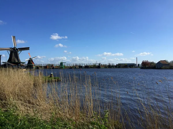 Holländische Historische Windmühlen Küstennähe Bei Blauem Himmel Zaanse Schans Nordholland — Stockfoto