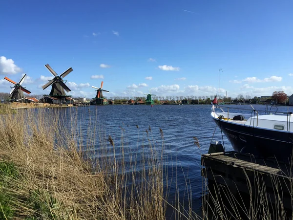 荷兰北部扎安斯县蓝天海岸附近的古老风车 — 图库照片