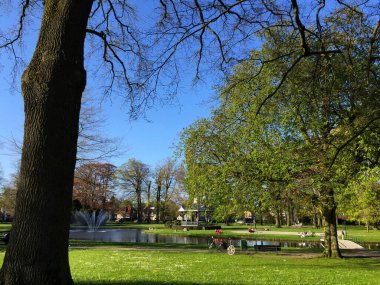 Parkta bahar, Hollanda 'da bahçe Apeldoorn Gelderland Hollanda