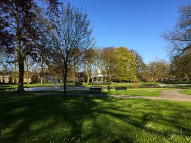 Hollanda Apeldoorn Gelderland Hollanda 'da ilkbaharda güneşli bir günde ormanda doğa manzarası