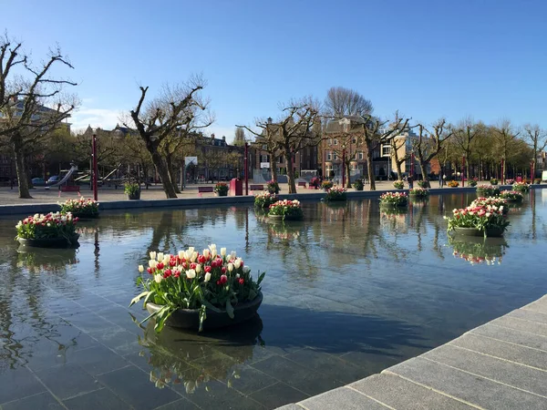 Der Museumsplatz Mit Blauem Himmel Amsterdam Niederlande — Stockfoto