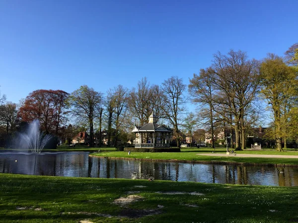 Hollanda Apeldoorn Gelderland Hollanda Ilkbaharda Güneşli Bir Günde Ormanda Doğa — Stok fotoğraf