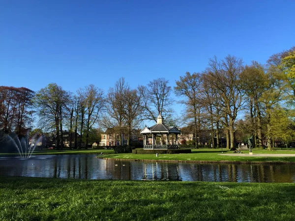 Natuurzicht Het Bos Het Voorjaar Zonnige Dag Nederland Apeldoorn Gelderland — Stockfoto