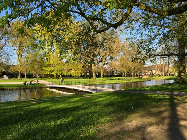 Výhled Přírodu Lese Jaře Slunečný Den Holandsku Apeldoorn Gelderland Nizozemsko — Stock fotografie