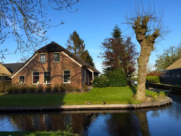 Village Landscape Giethoorn Holland Netherlands — 스톡 사진