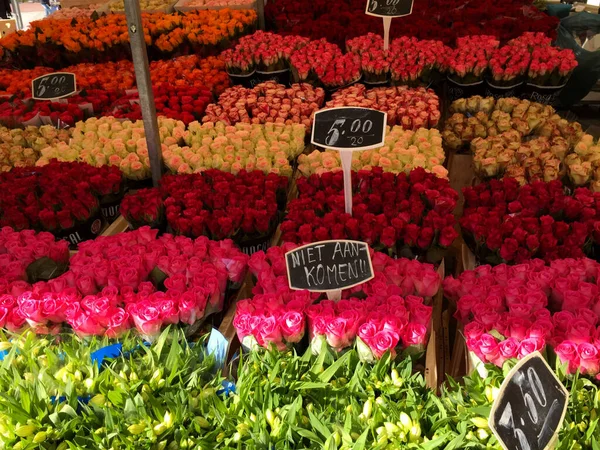 Flowers Market Rotterdam Holland Netherlands — Stock Photo, Image