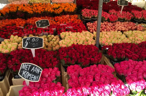 Flowers Market Rotterdam Holland Netherlands — Stock Photo, Image