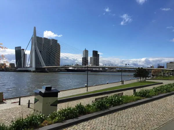 Ponte Erasmus Sul Mare Rotterdam Olanda Paesi Bassi — Foto Stock