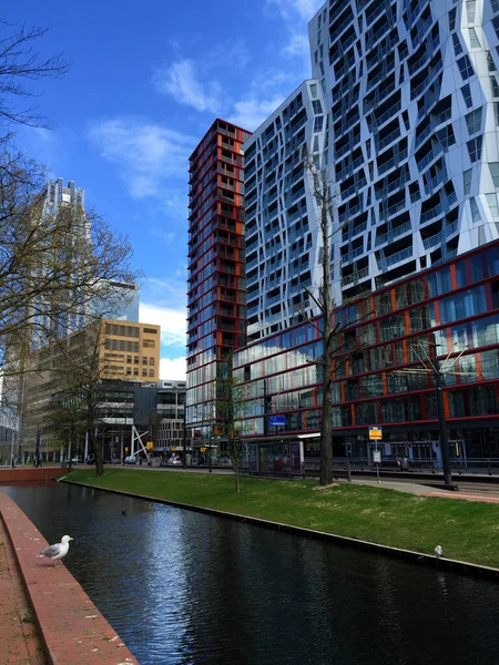 Canale Nel Paese Rotterdam Olanda Paesi Bassi — Foto Stock