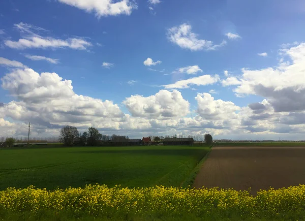 Хмари Полі Роттердамі Нідерланди — стокове фото