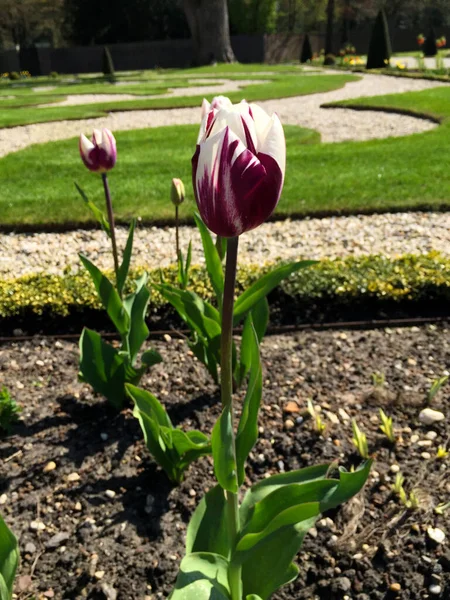 Giardino Het Loo Palace Castello Stile Barocco Olandese Olanda Apeldoorn — Foto Stock