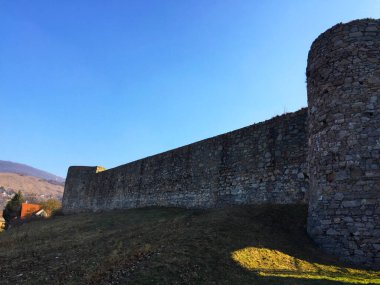 Bratislava Slovakya 'daki Devin Kalesi