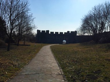 Bratislava Slovakya 'daki Devin Kalesi