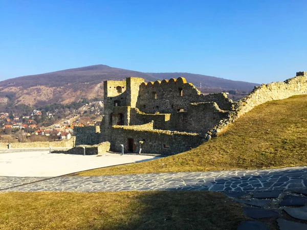 Devin Castle Bratislava Slovaquie — Photo