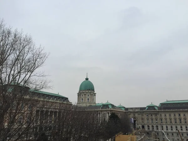 Castillo Buda Palacio Real Budapest Hungría — Foto de Stock