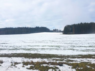 Kar tarlaları, Çek Cumhuriyeti 'nde kış manzarası