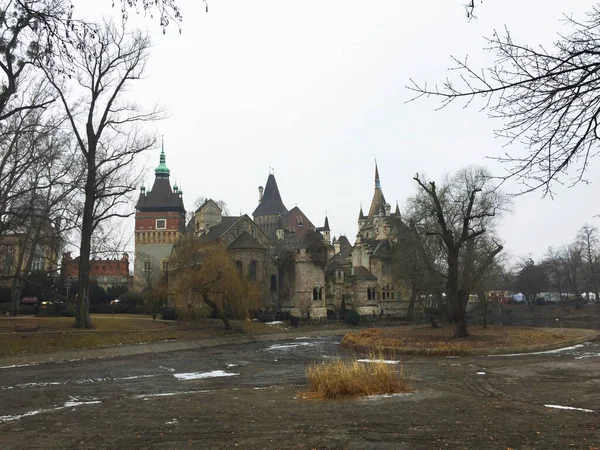 Château Vajdahunyad Dans Parc Budapest Hongrie — Photo