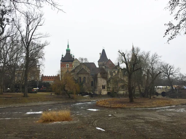 Hrad Vajdahunyad Městském Parku Budapešti Maďarsko — Stock fotografie