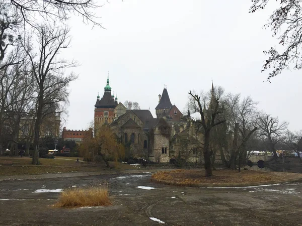 Замок Вайдахуньяд Городском Парке Будапешта Венгрия — стоковое фото