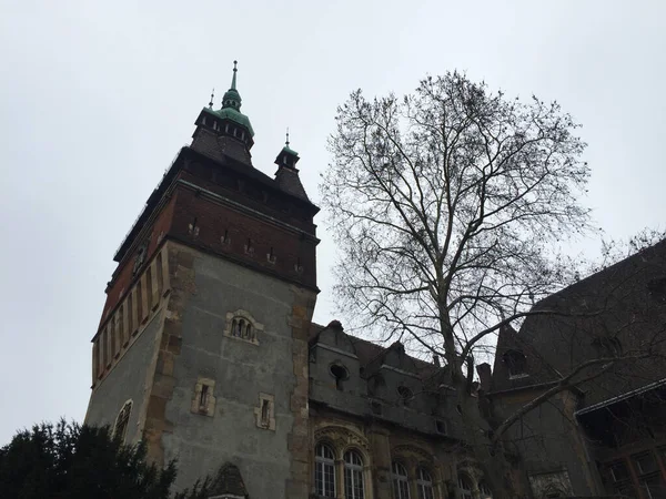 Château Vajdahunyad Dans Parc Budapest Hongrie — Photo