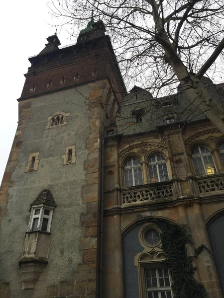 Kasteel Vajdahunyad Het Stadspark Van Boedapest Hongarije — Stockfoto