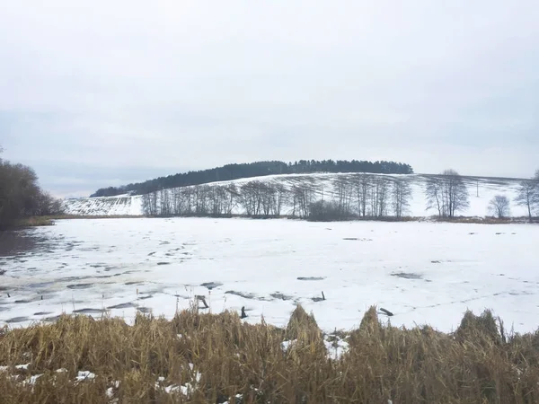 Hóval Borított Mező Téli Táj Cseh Köztársaságban — Stock Fotó