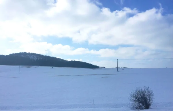 Campo Innevato Paesaggio Invernale Nella Repubblica Ceca — Foto Stock