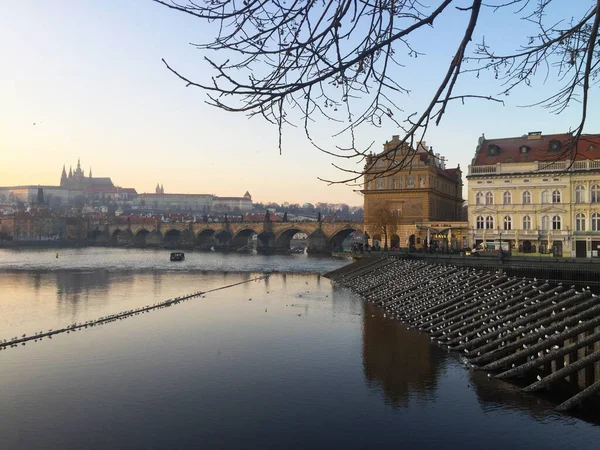 Влтава Праге — стоковое фото