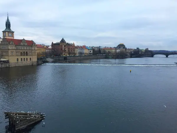 Paisagem Urbana Rio Vltava Ponte Charles Cidade Velha Praga República — Fotografia de Stock