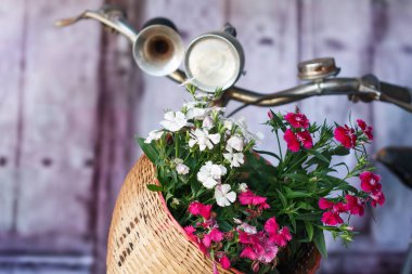 Eski bisiklet ve çiçekler.