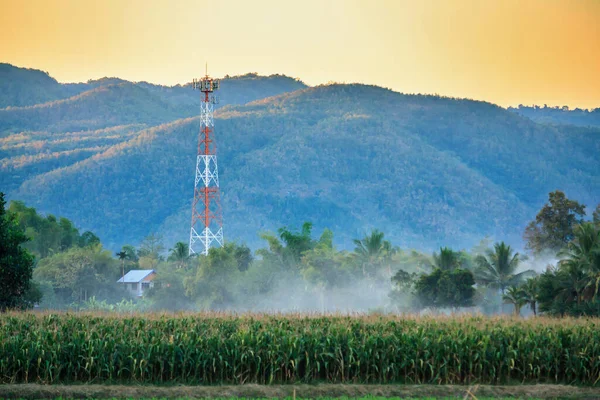 Телекоммуникационная Башня Поле Фоне Гор Закате — стоковое фото