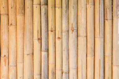 Arka plan için bambu desenli çit