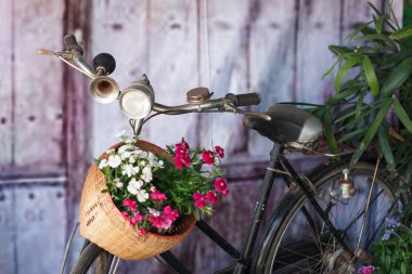 Eski bisiklet ve çiçekler.