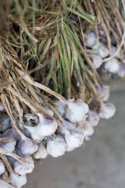 Taze sarımsak, sarımsak soğanı ve karanfil.