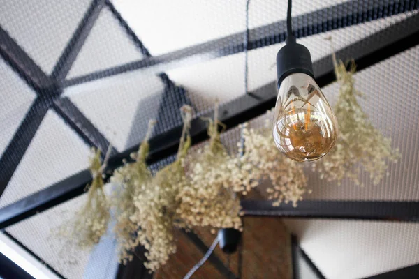 レトロな電球とドライフラワーの花束背景 — ストック写真