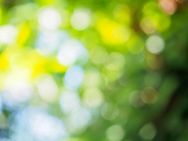 Bokeh ışığı ile doğa arkaplanı