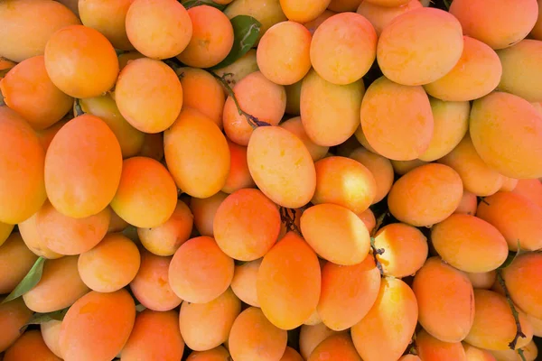 Świeże Dojrzałe Śliwki Maryjne Mayongchid Maprang Plum Mango Owoce Tropikalne — Zdjęcie stockowe