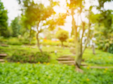 Bulanık park güneş ışığıyla doğal arka plan