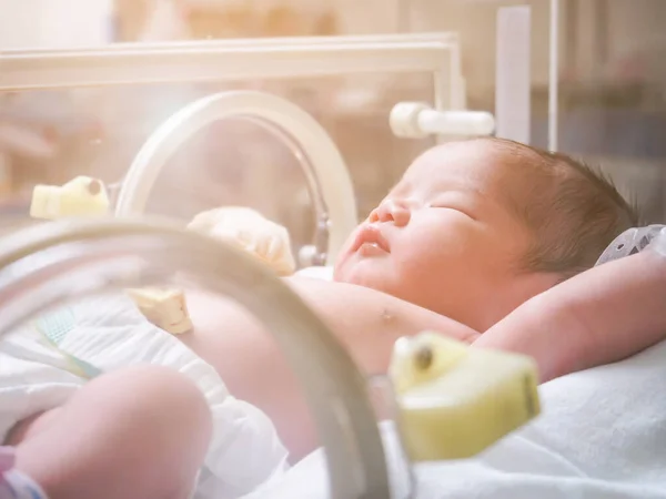 Newborn Baby Girl Incubator Hospital Post Delivery Room — Stock Photo, Image