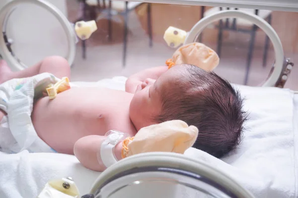 Noworodek Dziewczynka Wewnątrz Inkubatora Szpitalu Poporodowy Pokój — Zdjęcie stockowe