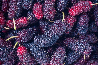 taze dut yakın plan arka plan