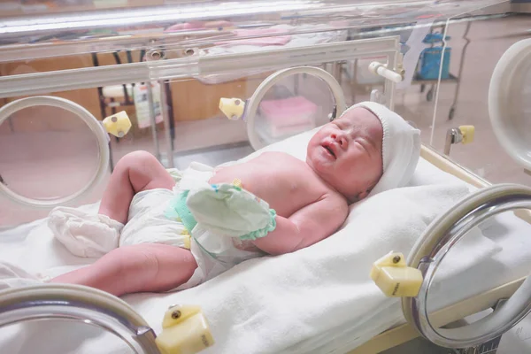 Nyfött Spädbarn Sover Inkubatorn Sjukhuset — Stockfoto