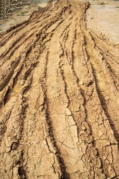 Kırsal Toprak Yolda Tekerlek Izleri — Stok fotoğraf