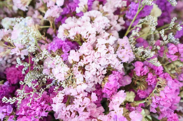 Bouquet Fiore Secco — Foto Stock